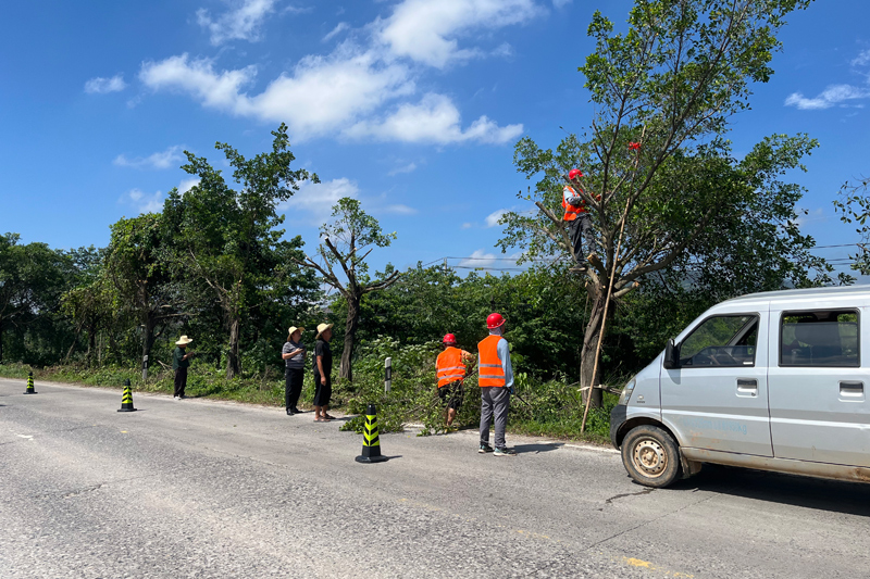 八步區(qū)信都至渡頭沿線樹枝修剪工程。