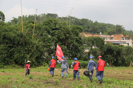 工作人員穿行田間