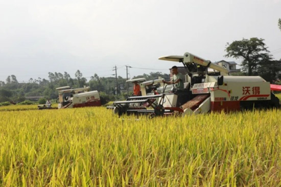 圖片：灌陽縣農(nóng)業(yè)農(nóng)村局提供