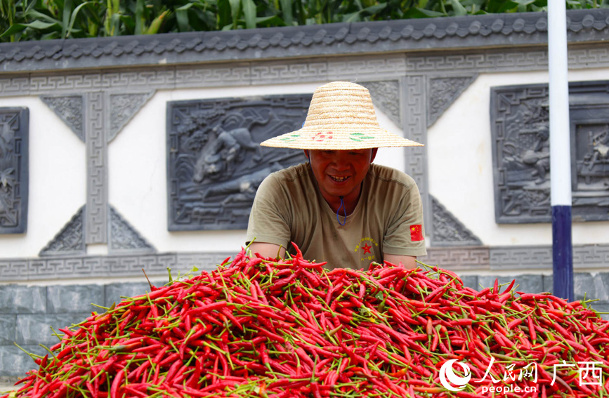 村民在晾曬辣椒。