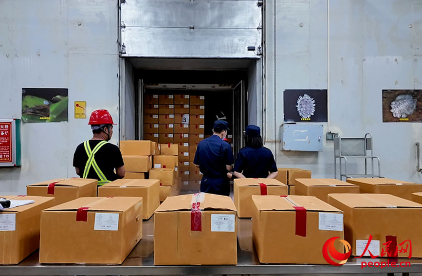 海關(guān)查驗貨物。人民網(wǎng) 梁章暉攝