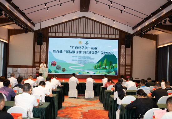 發(fā)布儀式現(xiàn)場。郵儲銀行廣西區(qū)分行供圖