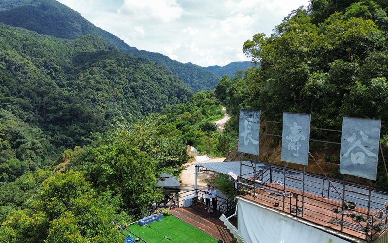 長壽谷中藥材種植基地。