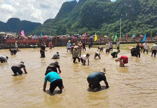 捉魚比賽現(xiàn)場。