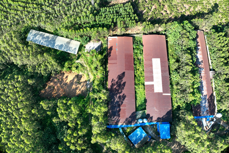 無人機巡查的養(yǎng)殖區(qū)。