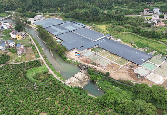 鰻魚基地全景。