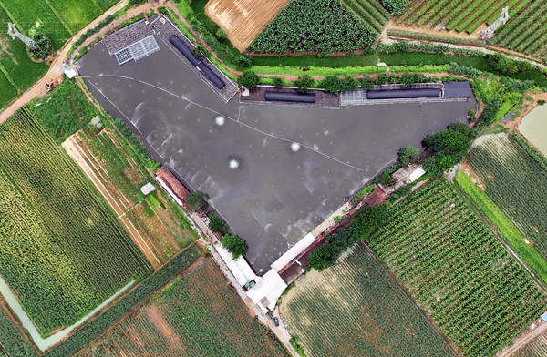 南寧壇洛鎮(zhèn)金光農(nóng)場畜禽糞污資源化利用示范基地航拍圖。主辦方供圖