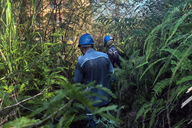 10月4日，陸川供電局組織運(yùn)維班人員提前行動，落實(shí)拼命清障要求，對轄區(qū)線路進(jìn)行集中清障，全力保障運(yùn)維設(shè)備安全穩(wěn)定運(yùn)行。劉俊丁攝
