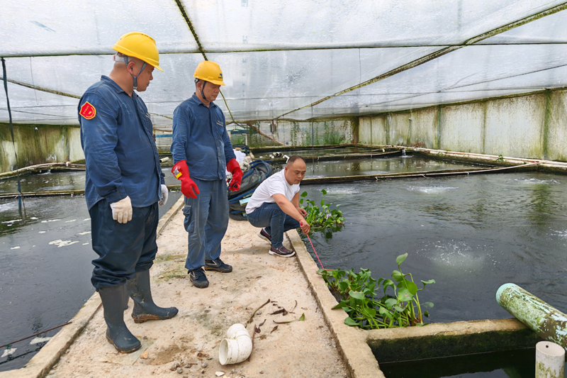 10月6日，陸川供電局古城供電所第一時間組織客戶服務(wù)班人員巡視走訪10千伏北豆線上下大嶺公變區(qū)域，對觀賞魚養(yǎng)殖戶開展上門用電服務(wù)。陳陽鐘攝