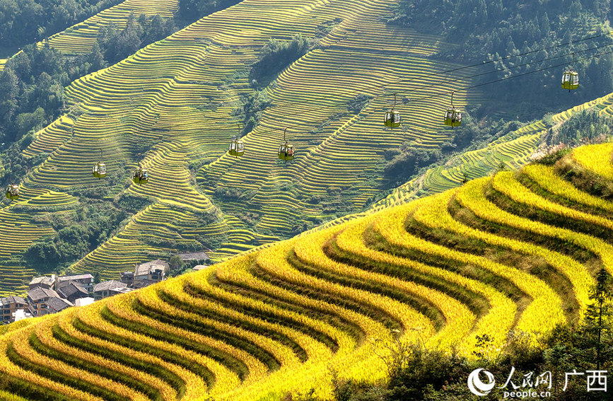 在龍脊鎮(zhèn)大寨村，游客乘坐索道觀光游覽。