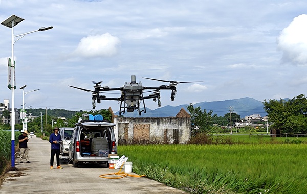 植保無人機騰空而起