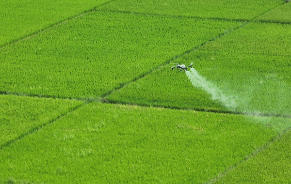 植保無人機正在作業(yè)