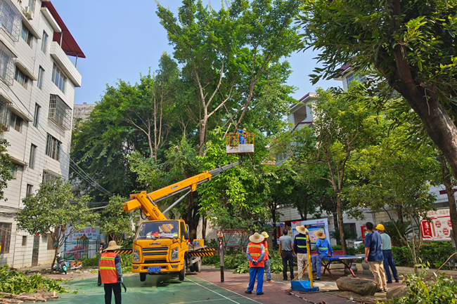 施工隊為社區(qū)小廣場周邊樹木修剪。