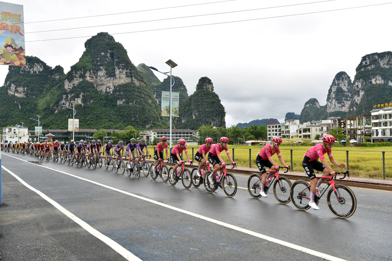 車手途經(jīng)明仕景區(qū)賽段。農(nóng)新俐攝