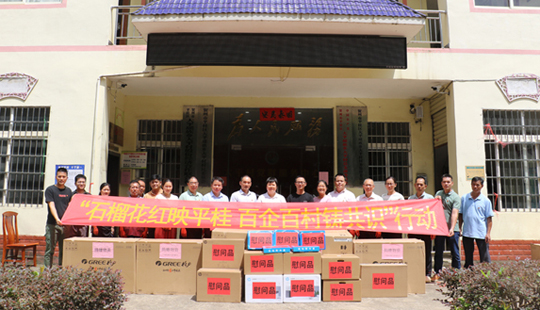 平桂區(qū)“百企百村鑄共識” 村企同心繪就振興新圖景