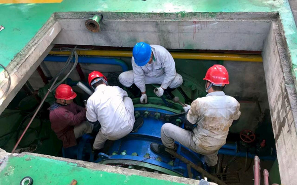 黨建先鋒隊(duì)正在加班加點(diǎn)檢修設(shè)備。廣農(nóng)新能源集團(tuán)供圖