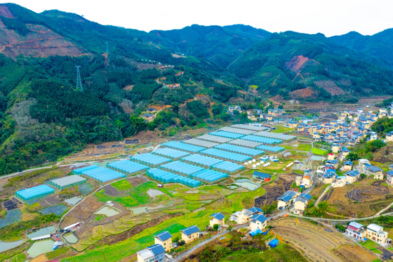 愛善莊園全景圖。蒙金山攝
