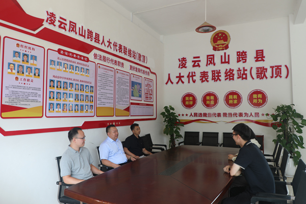 凌云、鳳山兩地人大代表在協(xié)商議事。凌云縣融媒體中心供圖