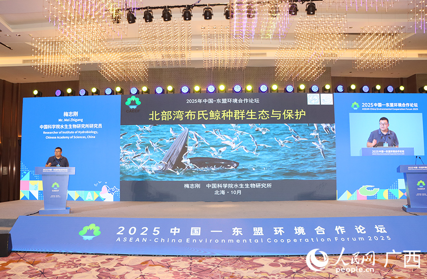 活動現(xiàn)場。人民網(wǎng) 付華周攝