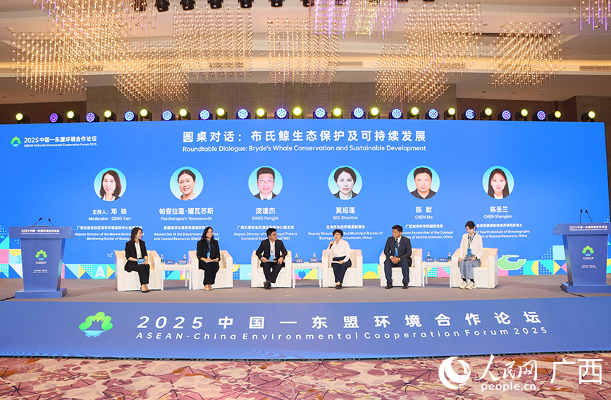 圓桌對話。人民網(wǎng) 付華周攝