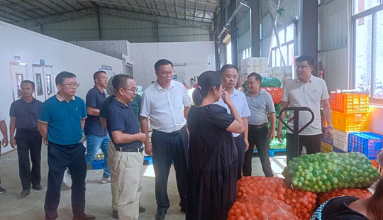 廣西作物遺傳改良生物技術(shù)重點實驗室專家組赴玉林開展合作交流