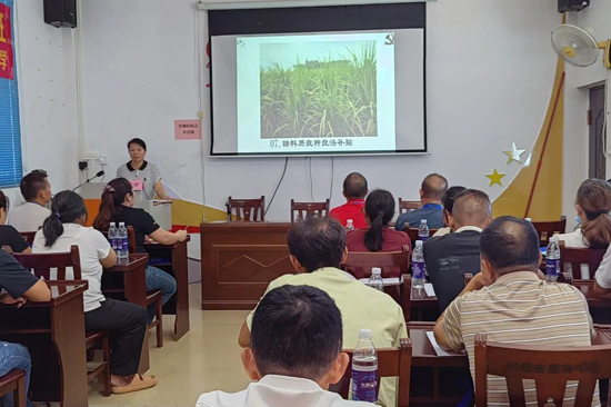 專題培訓班現(xiàn)場