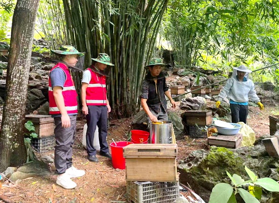 駐村工作隊(duì)在養(yǎng)蜂基地開(kāi)展技術(shù)培訓(xùn)。韋云元攝