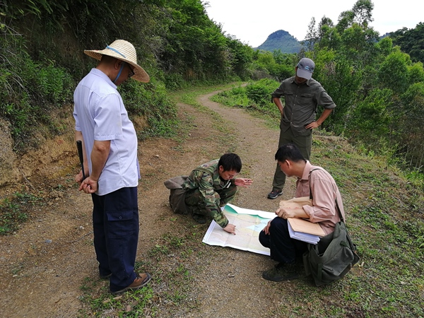 桂林理工大學(xué)與廣西第四地質(zhì)隊(duì)在西大明山國(guó)家級(jí)整裝勘查區(qū)開展礦產(chǎn)地質(zhì)調(diào)查工作。桂林理工大學(xué)供圖