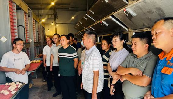 金城江區(qū)：加強(qiáng)基層農(nóng)技推廣 傳授畜牧養(yǎng)殖技術(shù)