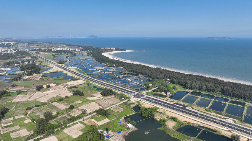 廣東濱海旅游公路茂名先行段入選“2025年度美麗公路項(xiàng)目”。中交一公局四公司供圖