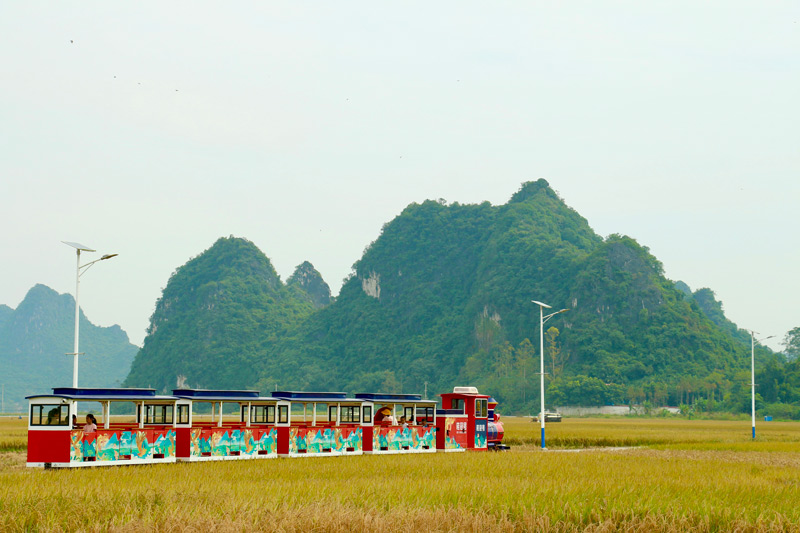 泉江“醉美田園”綜合體。楊雅淋攝