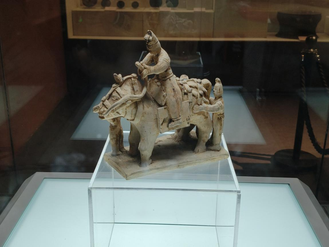 梧州市博物館鎮(zhèn)館之寶之一：青瓷騎馬俑。劉璐瑤攝