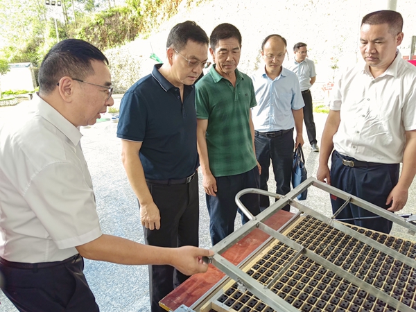 梧州運營公司觀摩李叔（左三）自主改良的剝繭機。