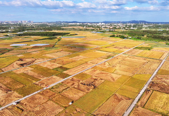海城區(qū)高標(biāo)準(zhǔn)農(nóng)田建設(shè)核心區(qū)