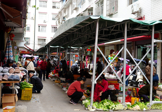 遮陽(yáng)棚場(chǎng)景。