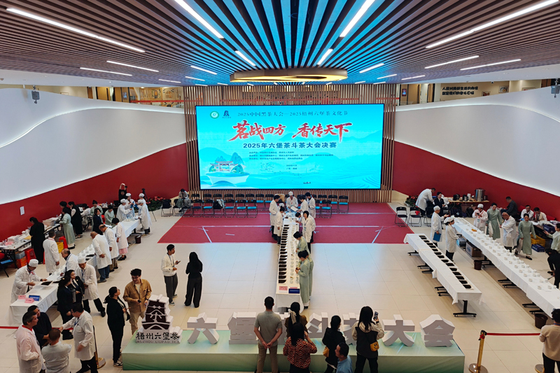 2025年六堡茶斗茶大會決賽現(xiàn)場。主辦方供圖