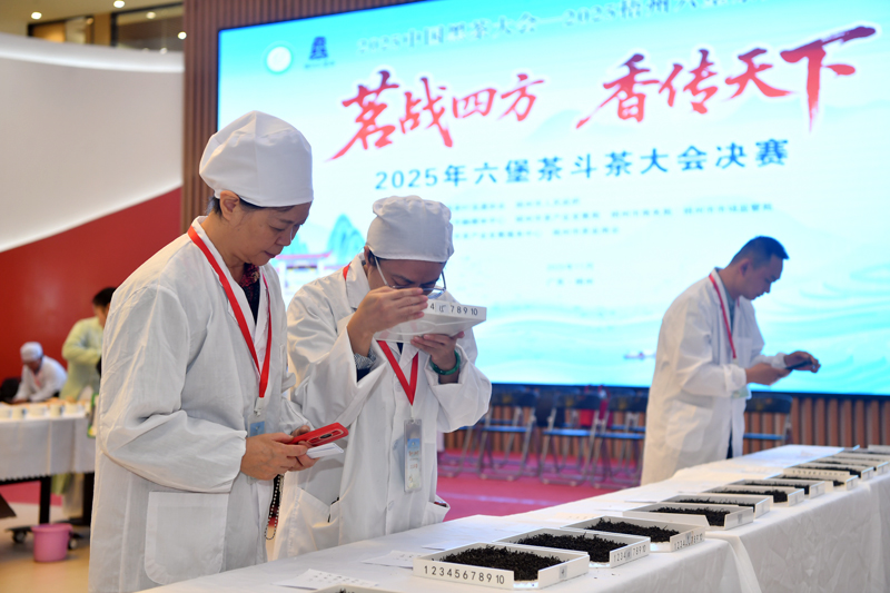 決賽現(xiàn)場。主辦方供圖