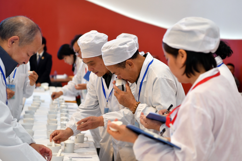 決賽現(xiàn)場。主辦方供圖