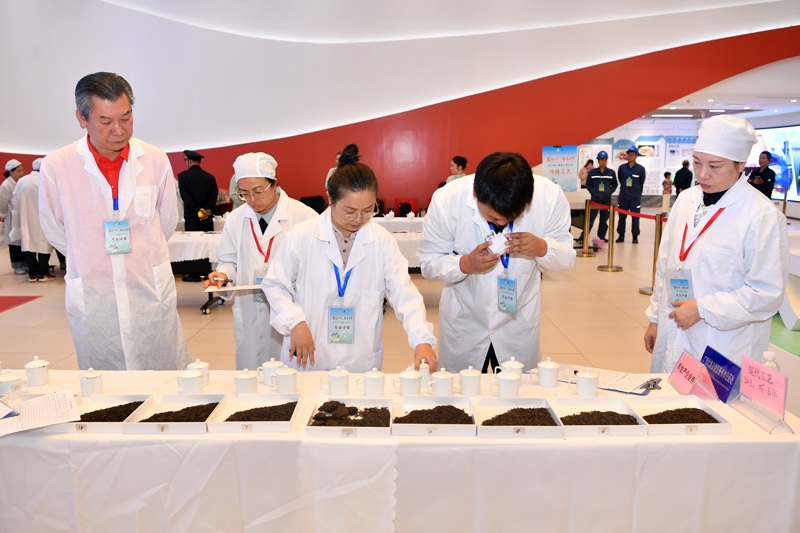 決賽現(xiàn)場。主辦方供圖