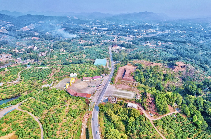 省道203線K56+900玉林市容縣自良鎮(zhèn)，公路左側(cè)是地方特色產(chǎn)業(yè)——沙田柚王國。覃丹莉攝