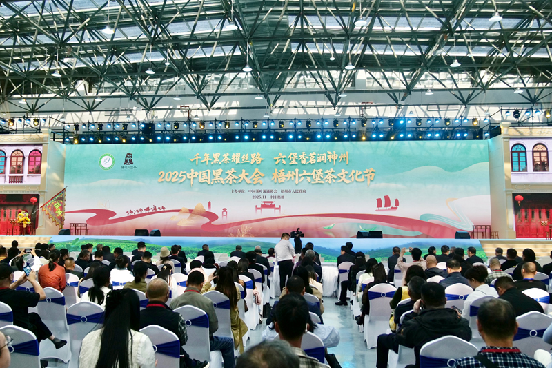 梧州六堡茶文化現場。主辦方供圖