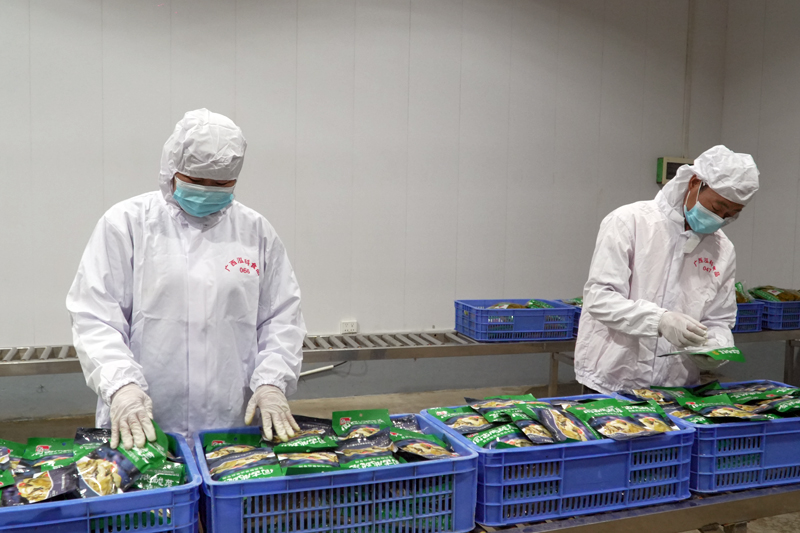 工人在查看酸菜包裝密封是否完好。何雪華攝