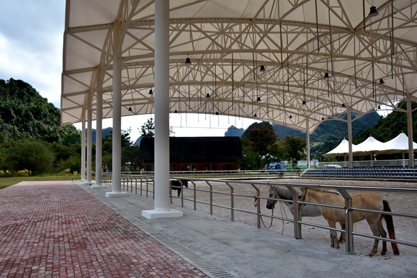 室內(nèi)矮馬場。黃琪攝