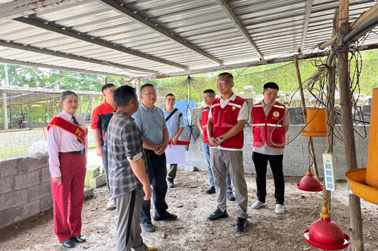 “萬山紅”班組開展“村企共建、助力鄉(xiāng)村振興”活動，參觀當?shù)貫蹼u養(yǎng)殖基地。何茜攝