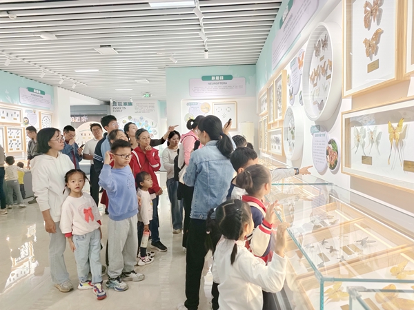 社會公眾參觀廣西農業(yè)科學院昆蟲館。