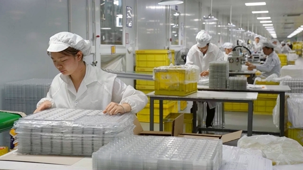 生產(chǎn)線一角。陸宏夏攝