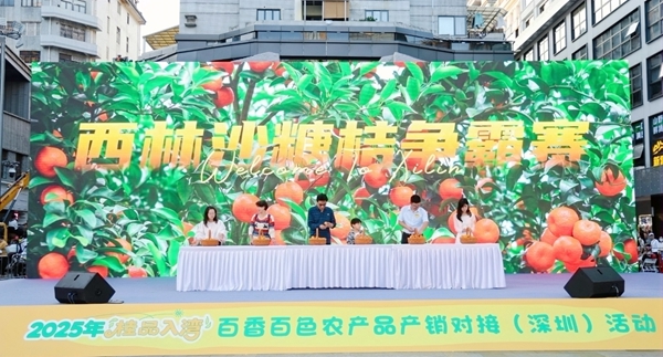 西林沙糖桔爭(zhēng)霸比賽現(xiàn)場(chǎng)。農(nóng)映連攝