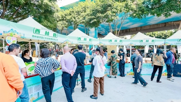 西林縣展位現(xiàn)場。農映連攝