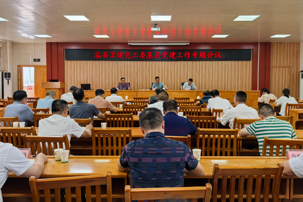 容縣衛(wèi)健系統(tǒng)黨建工作專題會(huì)議。容縣衛(wèi)健局供圖
