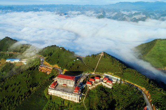 龍?jiān)粕焦适滦℃?zhèn)云海。樂業(yè)縣委宣傳部供圖